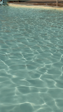 Swimming and water slides captured at Egyptian water park