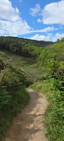 The camera pans slowly from a dirt path to a rocky coastline. The path leads into a wooded valley. The sides of the valley are covered with grass and shrubs. Above the valley is a line of trees against a blue sky with white clouds. The camera pans right, revealing a grassy hillside sloping down to a rocky shoreline. Layers of yellow and brown rock are visible along the coast. The ocean is calm and blue, with several rocky outcroppings jutting out from the water.