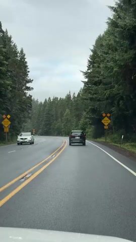 The video shows a view from inside a vehicle traveling on a wet, paved road through a forest. The road curves to the left. There are tall evergreen trees on both sides of the road. A dark-colored SUV is in front of the camera vehicle, traveling in the same direction. A white vehicle is visible in the distance on the left side of the road. Yellow diamond-shaped road signs are posted on the right side of the road; one sign appears to indicate a rough road. The sky is overcast.