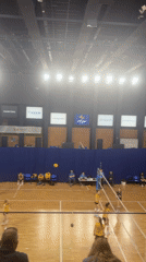 Indoor volleyball match observed between two teams