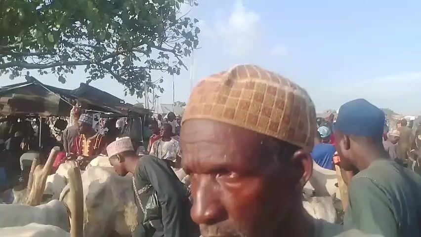 The video shows a crowded outdoor cattle market. Many people, some wearing traditional hats, are standing and walking around white cattle. There are also market stalls and trees visible in the background. The ground appears to be dirt. The sky is blue and hazy.