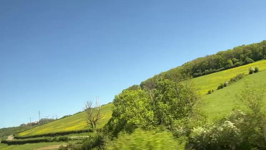 The video captures a picturesque rural landscape, likely viewed from a moving vehicle such as a train or car, as the camera smoothly pans horizontally across the scene. The setting is characterized by rolling green hills, some of which are dotted with vibrant yellow wildflowers under a clear, bright blue sky.

Various subjects are visible in the frame: lush green fields, numerous trees and dense bushes, all appearing vibrant and full of foliage, suggesting springtime or early summer. A prominent feature on the hillsides is a series of utility poles supporting power lines, which run across the landscape. A distinct hedge row can be seen dividing sections of the fields.

The activity involves observing the passing scenery, providing a continuous view of the natural environment. The time of day is clearly daytime, marked by bright sunshine and the absence of clouds. The weather appears fair and sunny. Based on the provided context, the location is Crugey, France. There is no visible text in the media file.