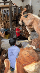 Daily life scenes captured across Ubud District, Indonesia