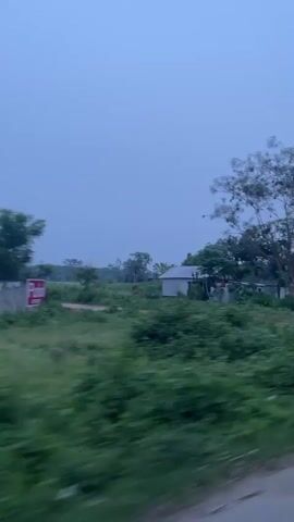 The video captures a moving shot of a semi-rural landscape under an overcast, blue-grey sky, suggesting either early morning, late evening, or a heavily cloudy day. The camera moves quickly, causing motion blur in the foreground vegetation.

Initially, a small house partially obscured by trees and dense greenery is visible in the mid-ground. As the camera progresses, a dirt road or path with muddy sections and puddles becomes apparent on the right. On the left side of the road, a red and white sign with the text "Purbachal" is clearly visible, confirming the location as Purbachal, Bangladesh.

Further along, power lines, utility poles, and several buildings, including a multi-story structure that appears to be under construction (with visible rebar), can be seen in the distance. The overall scene depicts a transition area with a mix of lush green vegetation, scattered trees, and developing infrastructure. No people are visible in the video.