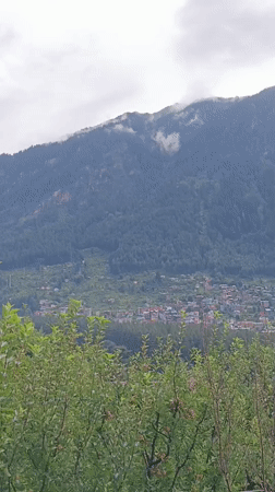 Apple orchards and misty valley views in a Himalayan village