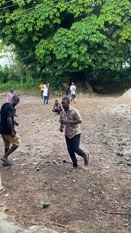 The video captures an outdoor gathering of several men in Ogbu, Nigeria. The scene unfolds on a dusty, unpaved ground, backed by a large, lush green tree that dominates the background. In the foreground, two men are actively engaged in rhythmic movement or dance. The man on the right wears a patterned short-sleeved shirt and black trousers, moving with evident enjoyment. Behind him, another man in a black t-shirt and khaki shorts also dances.

Throughout the frame, other men are visible; some stand observing the activities, while one individual is seated on the ground in the mid-ground. Further back, under the extensive canopy of the large tree, more people are gathered, with some seated on chairs. The general ambiance appears joyful and communal, suggesting a social event or celebration. The setting is naturally lit, indicating daytime, and the dry, earthy ground suggests fair weather. No discernible text is visible within the frame.