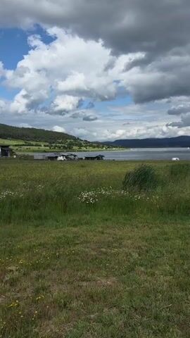 A slightly elevated, landscape-oriented video captures a natural scene with a body of water in the background, foregrounded by a grassy field with wildflowers. The sky above is dramatic, filled with large, grey, and white clouds. In the middle ground, near the water's edge, several small buildings with dark roofs are visible. The water itself is calm, with a few white specks that could be boats or vehicles on its surface. The overall impression is one of a tranquil, possibly rural or coastal environment under a dynamic sky.
