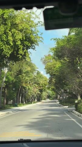 A camera films a car traveling down a road. The road is framed by lush green trees, including palm trees. The sky is blue with scattered white clouds. The road is gray, with white lines marking the lanes. A car can be seen in the distance. The camera is positioned inside a vehicle, capturing the view through the windshield. Voices are heard in the background.