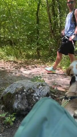 A man wearing a blue tank top and black shorts, with a backpack, is on a forest trail holding a leash attached to a dog. A woman in a black and white polka dot dress is also on the trail, holding a leash attached to a dog. The two dogs, a French bulldog and a larger brown and white dog, are interacting on the trail. The French bulldog is in the foreground, facing away from the camera. The larger dog is standing and sniffing the French bulldog. The environment is a forest with trees and rocks.