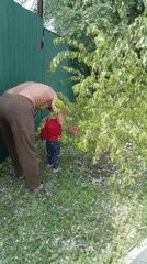 Family morning activities documented in Russian backyard setting