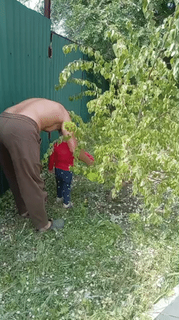 Family morning activities documented in Russian backyard setting