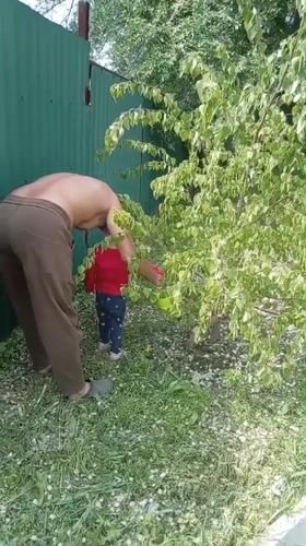 Family morning activities documented in Russian backyard setting