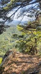 Early morning mountain landscape documented in rural South Korea