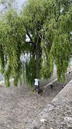 Rainy morning scenes documented across central Paris neighborhood
