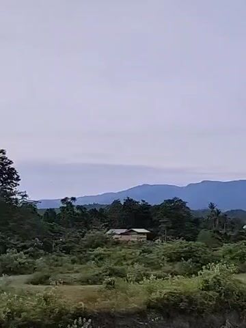 The video presents a landscape view under a cloudy sky. In the foreground, there's a brownish, slightly barren field with a small stream or shallow river meandering through it. To the left, there is lush green vegetation, including trees and shrubs. A small building, possibly a house, is nestled among the trees. In the background, a range of blueish mountains stretches across the horizon, contrasting with the muted tones of the sky and the immediate landscape. The camera appears to be stationary, slowly panning from left to right revealing the scene.