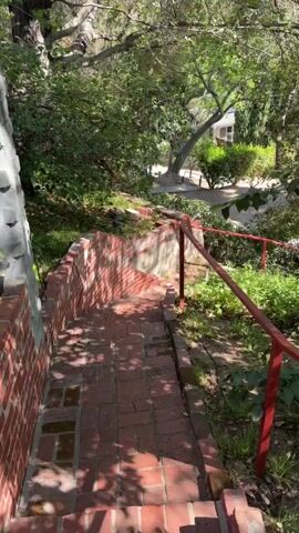 The video begins looking down a set of brick stairs. A red metal railing is visible along the right side of the stairs. The stairs are bordered by a low brick wall on the left. Sunlight casts shadows on the stairs and the surrounding area. The scene is outdoors, with lush green foliage and trees visible. In the distance, a white building with a dark roof can be seen among the trees, suggesting a residential setting. The camera appears to be moving slightly, providing a dynamic view of the descending stairs and the environment. The overall impression is of a pathway leading down into a garden or wooded area.