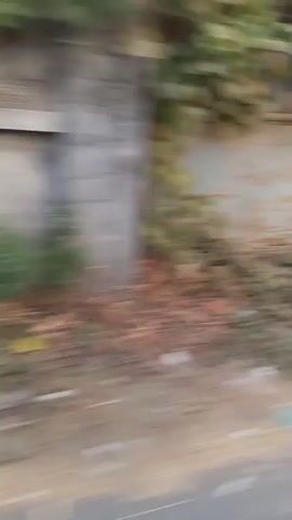 A brief video clip shows a blurry view of a dirt road passing by several houses. The houses appear to be of simple construction, some with corrugated metal roofs and others with tiled roofs. The road is unpaved and appears to be in a rural or semi-rural setting. There is some vegetation visible along the sides of the road. The video is shaky and moves rapidly, making it difficult to discern specific details. No people or distinct objects are clearly visible.