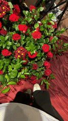 Keyboardist performs on decorated stage in Moscow