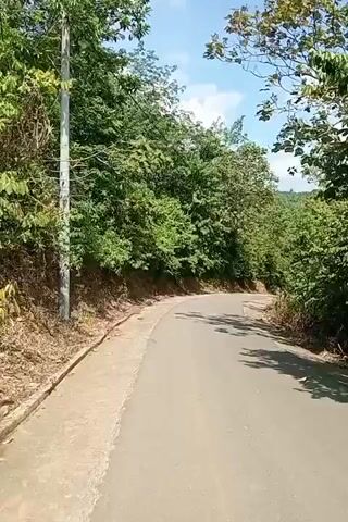 The video shows a paved road winding through a lush, green forested area. The road appears to be a single lane with a clear sky and clouds overhead. The camera is positioned as if the viewer is walking or driving along the road, providing a first-person perspective. Trees and vegetation line both sides of the road, creating a natural, somewhat enclosed atmosphere. There are no people or vehicles visible in the footage. The overall scene is serene and natural, suggesting a rural or undeveloped location. The sunlight filters through the trees, casting shadows on the road. There is a utility pole visible on the left side of the road in the initial frames.
