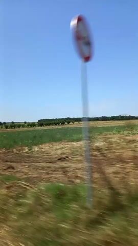 The video shows a view from a moving vehicle, looking out over agricultural fields under a clear blue sky. The fields are a mix of green crops and dry, harvested areas. A row of trees is visible in the distance, bordering a forest. The foreground is blurred due to the motion of the vehicle, showing green vegetation. The time stamps indicate the video is approximately 5 seconds long.