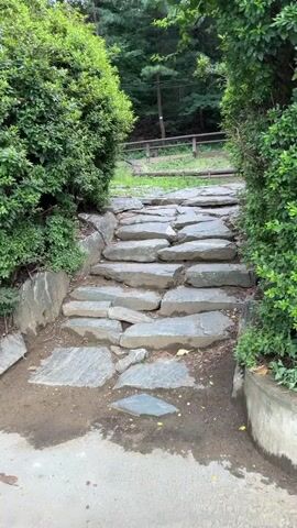 This is a first-person perspective video of a person walking up a set of stone stairs. The stairs are made of irregular, flat stones, and are flanked by lush green bushes. The path leads into a wooded area with trees and a wooden fence in the background. The ground is dirt and a bit wet in places.