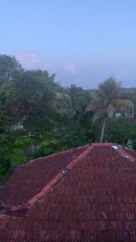 A vertical video shows a clear blue sky with scattered pink clouds. In the foreground, a red tiled roof is visible, angled towards the right. Beyond the roof, lush green trees and palm trees fill the frame. In the distance, some buildings and more foliage can be seen. The scene appears to be outdoors, possibly during a sunrise or sunset, given the colors of the sky and clouds.