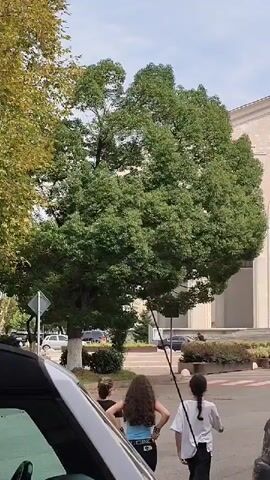 The video shows a street scene with a large tree in the foreground and a building in the background. Three young people are standing near the tree, facing away from the camera. They appear to be looking at something beyond the frame. A car is parked in the foreground on the left side of the screen, and another car is visible on the right. The building in the background has a classical architectural style with arches and columns. The sky is overcast. The video is shot from a low angle, looking up at the tree and the building.
