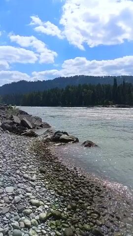 The video shows a wide, greenish-blue river flowing rapidly. The riverbank in the foreground is covered with small, smooth pebbles. On the far bank, a dense forest of green trees lines a rolling, tree-covered hillside. The sky is a bright blue with scattered white, fluffy clouds. There are no people or animals visible. The camera pans slowly across the scene, giving a sense of movement and the vastness of the landscape.