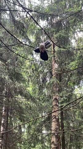 The video shows a pair of sneakers hanging from a tree branch. The sneakers are suspended by their laces. The background shows a dense forest with tall trees. The lighting is diffused.