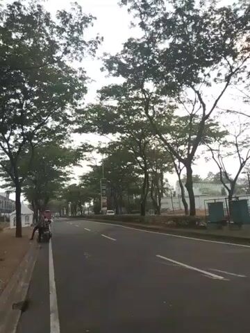 A video captures a road lined with trees. A motorcycle is parked on the side of the road, with a person near it. A black car drives by on the road. The sky is overcast.