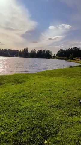 This is a vertical video of a lakeside scene. The foreground is a grassy slope leading down to the water. The lake itself is calm with gentle ripples, and the sun is reflecting off the surface, creating a shimmering effect. On the far side of the lake, there is a dense line of trees. The sky above is partly cloudy, with patches of blue sky visible between the clouds. In the middle distance, on the left side of the frame, there is a wooden gazebo or shelter situated on a small pier extending into the water. The video is static, with no movement except for the natural movement of the water and clouds.