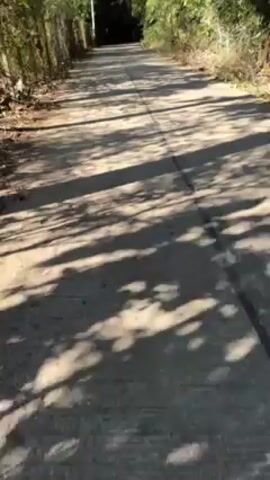 The video shows a first-person perspective of someone running on a narrow, paved road. The road is bordered by lush greenery including trees and bushes, creating a tunnel-like effect. The sun casts dappled shadows on the road.  The road appears to lead into a darker, shaded area further ahead.  The runner’s breath is audible.