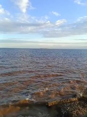 The video shows a body of water under a blue sky with scattered clouds. The water appears dark in the distance but turns a muddy brown closer to the shore. Small waves ripple across the surface. Some dried vegetation is visible in the foreground along the shoreline. The scene is still and quiet.