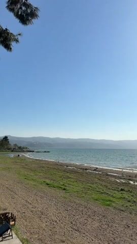 The video captures a serene panoramic view of a large body of water, likely a lake or sea, under a clear, bright blue sky. The camera slowly pans from left to right, revealing the expansive scene.

In the foreground, there is a sandy and somewhat grassy shoreline. The sand appears light brown, and patches of green grass are visible, especially closer to the camera. At the very beginning, a tree branch with green needles is briefly seen in the top left corner. As the camera pans, several small birds can be observed foraging or resting on the wet sand near the water's edge. Some faint structures, possibly part of outdoor seating or a small pier, are visible on the far left of the shoreline.

The body of water dominates the middle ground, sparkling under the bright sunlight. Gentle waves create ripples across the surface, reflecting the sun's brilliance, especially towards the right side of the frame as the sun becomes more prominent. In the distance, a long chain of low-lying mountains or hills stretches across the horizon, appearing hazy against the bright sky.

The sky is a uniform, clear blue, indicating good weather. The sun is shining intensely, becoming a visible orb in the upper right quadrant of the sky as the camera completes its pan, casting strong reflections on the water.

The scene depicts a peaceful daytime view, characteristic of a natural coastal or lakeside setting in Iznik, Turkey.