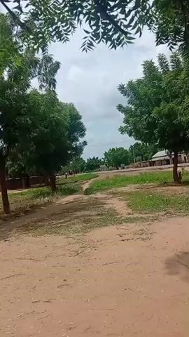 The video shows an outdoor scene with a dirt path in the foreground. Trees with green leaves line the path, with some branches extending into the frame from the top. In the middle ground, there are several small buildings with peaked roofs, some appearing to be made of brick. A few people are visible near the buildings and on the path, including a person running. There are also more trees and vegetation in the background. The sky is cloudy. The video appears to be a recording from a moving camera, possibly a phone, as indicated by the timestamps and slight shaking.