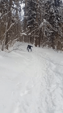 Winter skiing activity documented in snowy forests near Sarapul