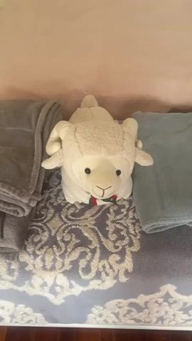 A stuffed sheep toy is centered on a bed with a patterned throw blanket underneath. Two other blankets, one grey and one blue, are folded on either side of the sheep. The sheep has a white fleece body, black eyes, a stitched nose and mouth, and a small red, green, and white ribbon around its neck. The background is a plain pink wall. The camera zooms in slightly on the sheep toy.