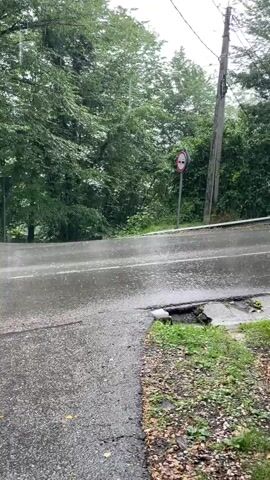 The video shows a person holding an umbrella on a wet road with trees in the background. It is raining heavily, with visible raindrops hitting the road and creating ripples. The road appears to be paved and has white lines marking lanes. The surrounding area is covered in lush green foliage, suggesting a natural or semi-rural setting. A wooden utility pole with wires is visible on the right side of the frame, and a circular red and white traffic sign is mounted on it. The overall mood is somber and tranquil due to the rain and overcast conditions, which could suggest it is daytime, though the lighting is subdued. The scene captures a moment of solitude amidst the rain.
