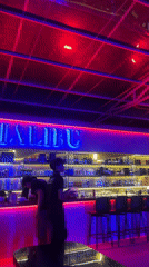 Social scene documented at Đà Nẵng bars and lounges