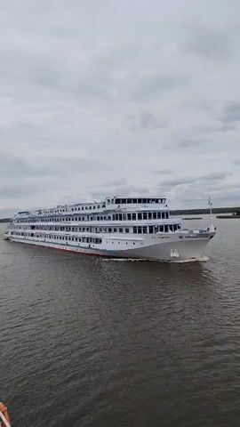A wide shot shows a large, white, multi-deck river cruise ship sailing from left to right on dark, choppy water under a cloudy sky. The ship has many windows and several decks stacked on top of each other. A red and blue stripe runs along the side of the hull. The bow of the ship is angled towards the viewer. In the foreground, a dark, textured surface, possibly part of another boat, is visible on the left. The background shows a distant, green shoreline with a few trees under the overcast sky.