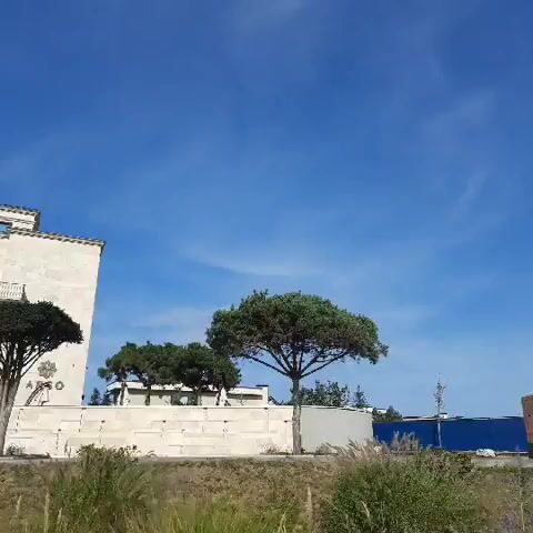 The video captures a building with a light-colored facade and multiple stories. The building has large blue-tinted windows and balconies. A statue of a winged figure adorns the top of the building. Two trees with full, rounded canopies are visible in front of the building. One tree is to the left of the building and another is to the right. The ground in front of the building is covered with green grass and some vegetation. The sky is clear and blue. The video pans across the building.