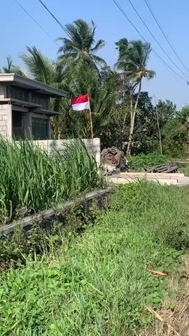A still shot of a red and white flag flying on a flagpole in front of a building. The building appears to be made of cinder blocks with a gray roof. Tall green grass grows in front of the building and to the sides. In the background, there are palm trees and other vegetation. The sky is blue and clear. A paved road is visible on the right side of the frame with a white vehicle driving on it. The scene appears to be in a rural or suburban area.