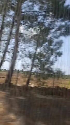 The video shows a blurred view of a landscape from a moving vehicle. The foreground is composed of dirt and dry vegetation, possibly a roadside. In the midground, there are trees and bushes, some appearing green and others more arid. In the background, the sky is visible with a few scattered clouds, suggesting daytime. The overall impression is of a journey through a rural or semi-rural area.