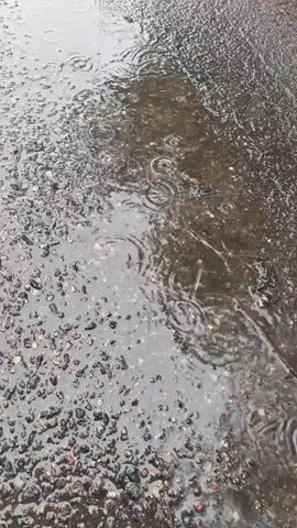 The video shows a close-up, eye-level view of raindrops hitting a wet, asphalt surface. The surface is mottled with small stones and appears to be a road or path. Small ripples and splashes are visible on the surface where the raindrops are falling, indicating ongoing rainfall. The lighting is diffused and appears to be overcast, consistent with rainy weather. There are no people or other objects clearly visible in the frame. The focus is solely on the action of the rain on the ground.