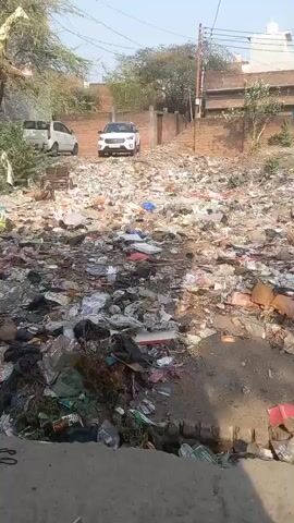 The video shows an outdoor area filled with garbage, including plastic, paper, and other debris. Two cars are parked in the background, and there is a brick building on one side of the area. A few dogs are visible amidst the trash, scavenging for food. The audio contains someone saying "This is India, Oh my god Indian".