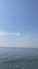 Kemer coastline morning: beaches, parasailing, and a rooftop cat