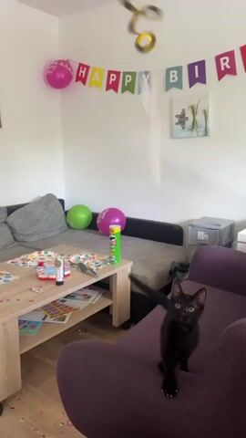 A black cat sits on a purple armchair in a living room. The room is decorated for a birthday party with a "Happy Birthday" banner hanging across the wall and balloons. A coffee table in front of a couch is covered with party supplies, including confetti, paint, and a Pringles can. A decorative swirl hangs from the ceiling.