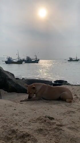 Early morning coastal scenes captured in Mirissa, Weligama Sri Lanka