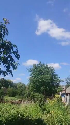 The video shows a bright blue sky with fluffy white clouds. The sun is shining brightly, casting a glare on the screen. The leaves of a tree are visible in the foreground, and the branches of another tree are visible in the background. The scene appears to be outdoors on a sunny day.
