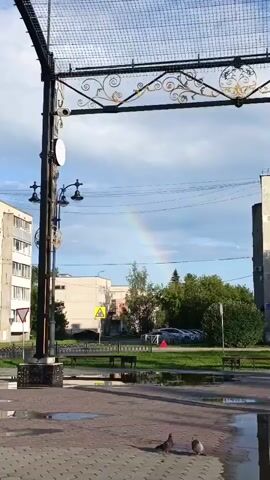 A man on a bicycle rides through a plaza. A rainbow is visible in the sky. There are pigeons on the ground. Buildings and trees are in the background.